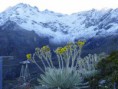 Pronóstico del tiempo en Mérida